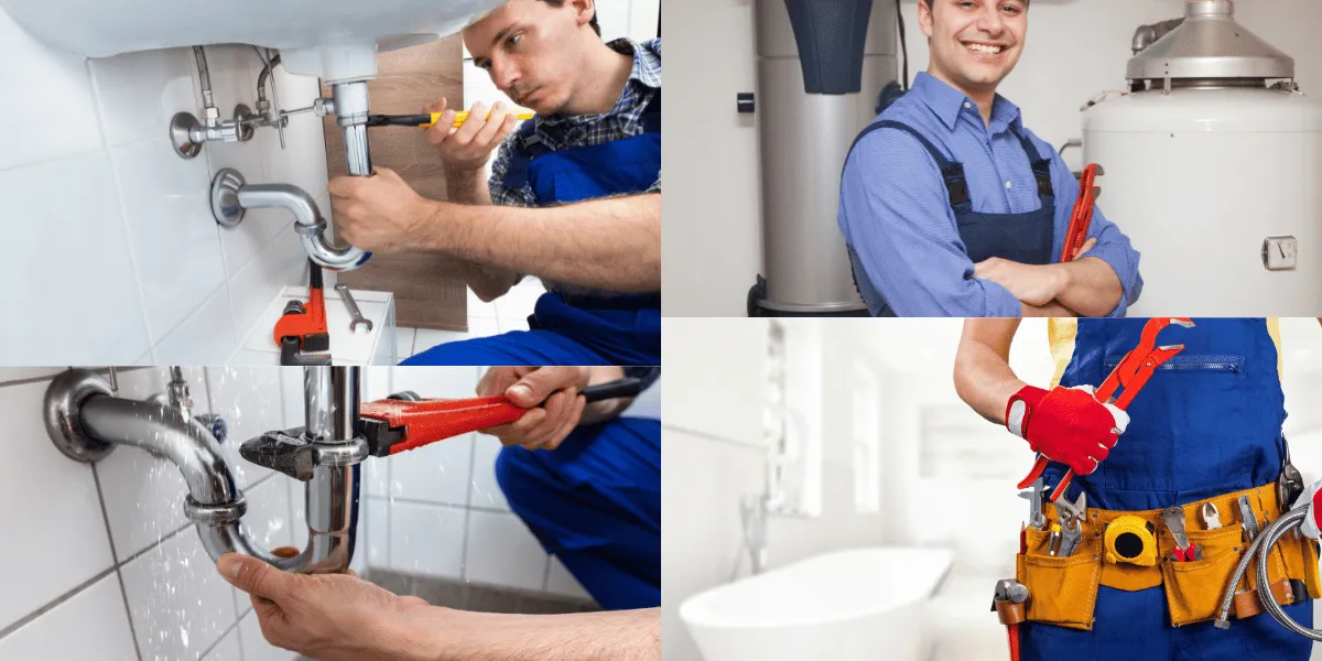 Professional toilet repair service
